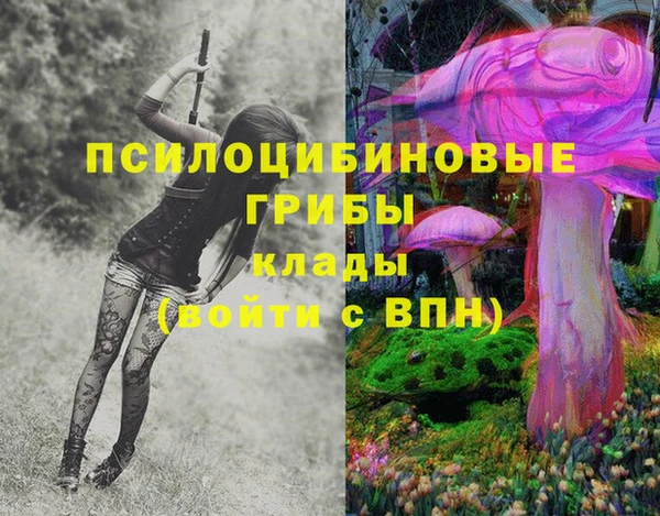 бошки Горнозаводск
