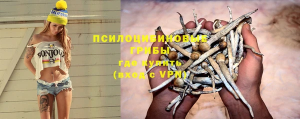 бошки Горнозаводск