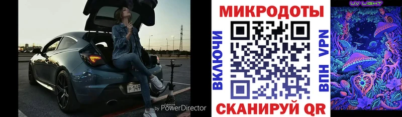 Купить закладки  Княгинино  Галлюциногенные грибы прущие грибы 